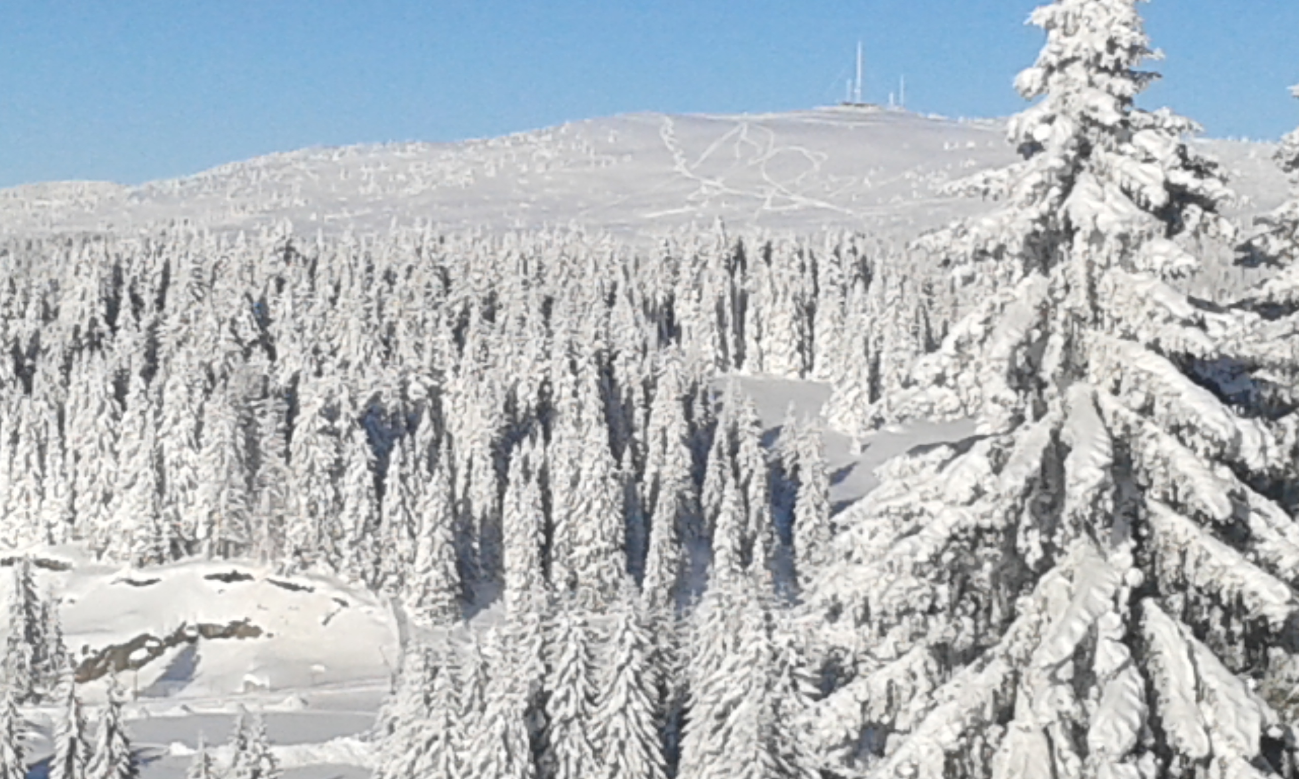 科帕奥尼克雪山风景